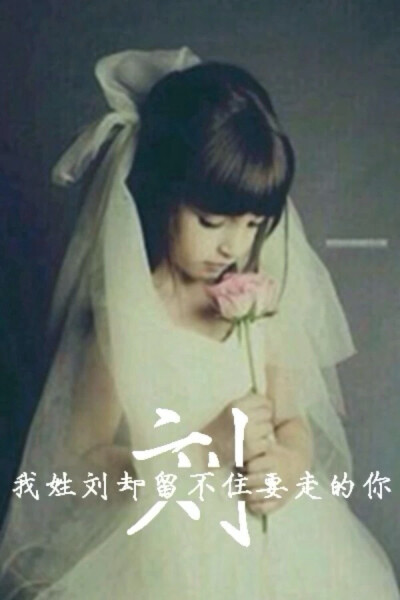 姓氏壁纸.刘