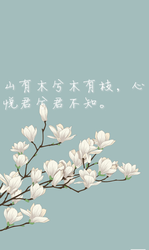 越人歌 山有木兮木有枝