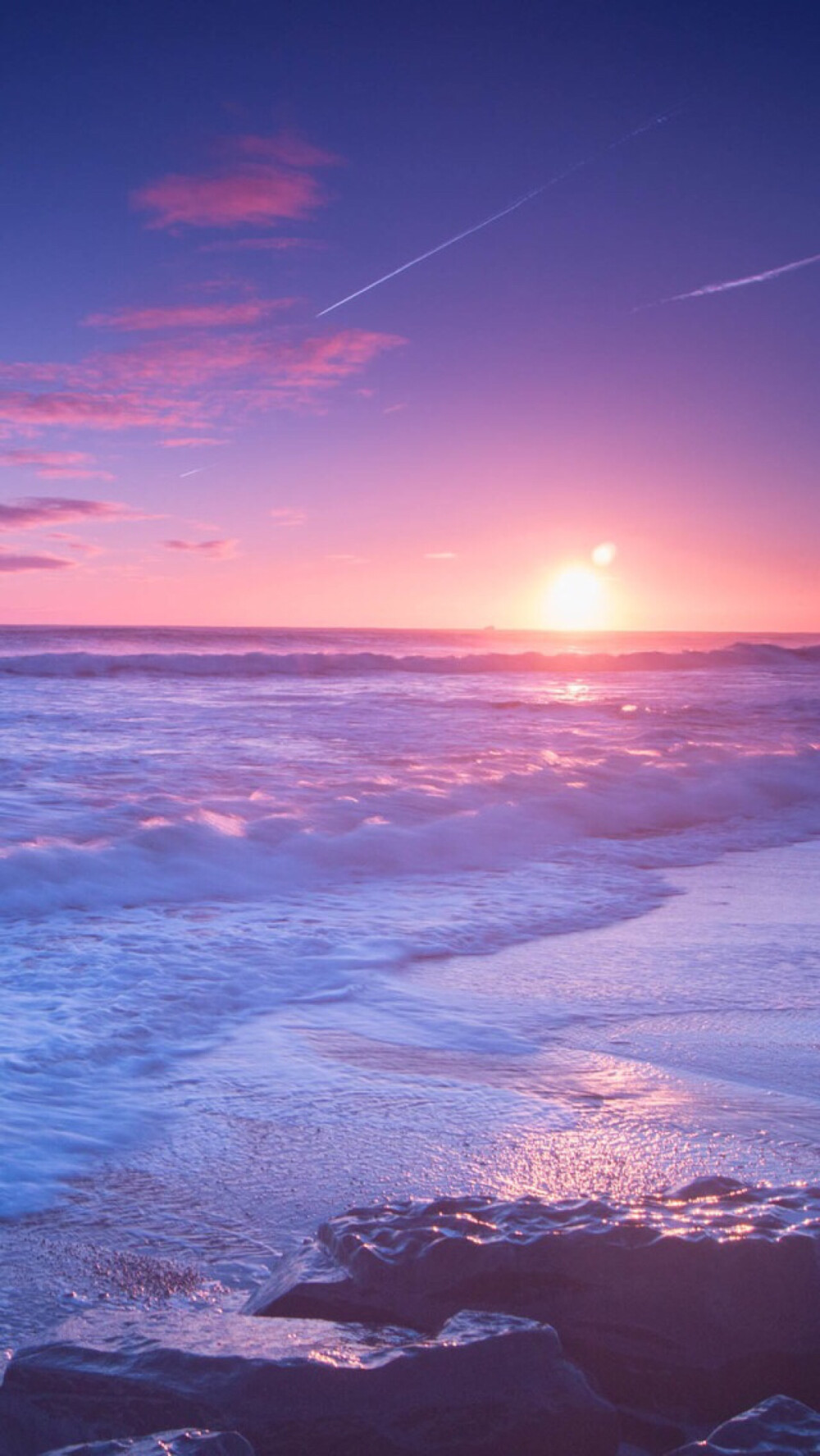 紫色- 堆糖,美图壁纸兴趣社区