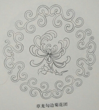 缠枝菊花纹样图片图片