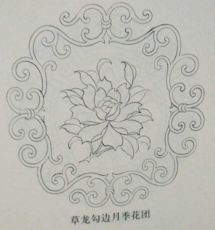 草龙勾边月季花团