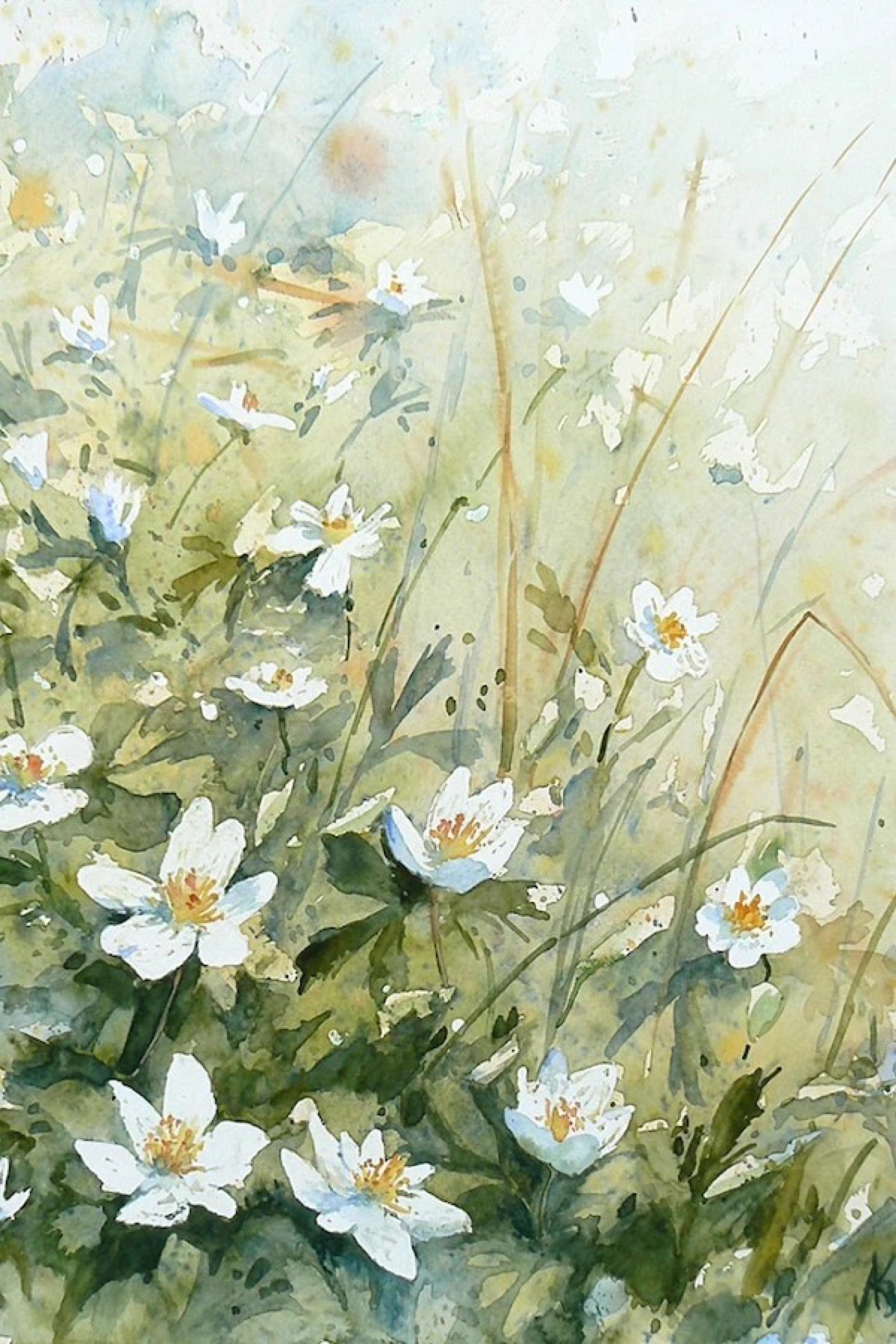 色彩水彩*清新,花卉,雅,手绘,插画,水墨
