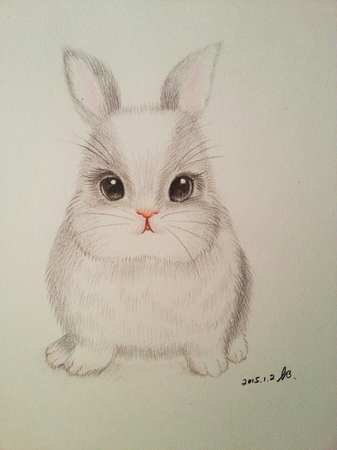 彩铅实验小兔兔