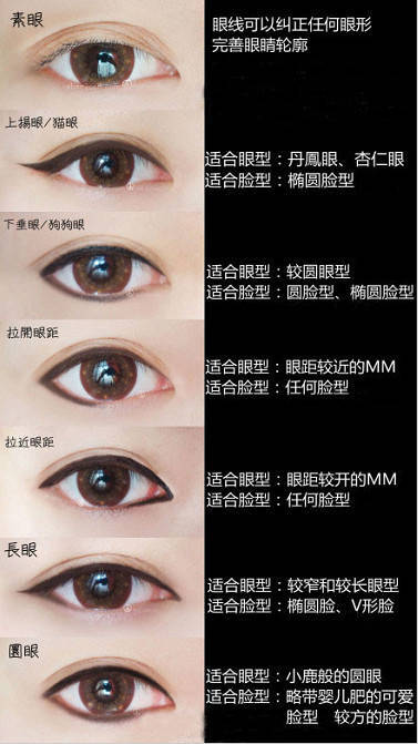 水母的各种画法