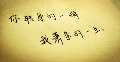 笙箫默经典句子(向来缘浅,奈何情深) 0 6 初曦cathy  发布到  文字