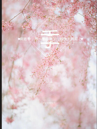 姓氏壁纸