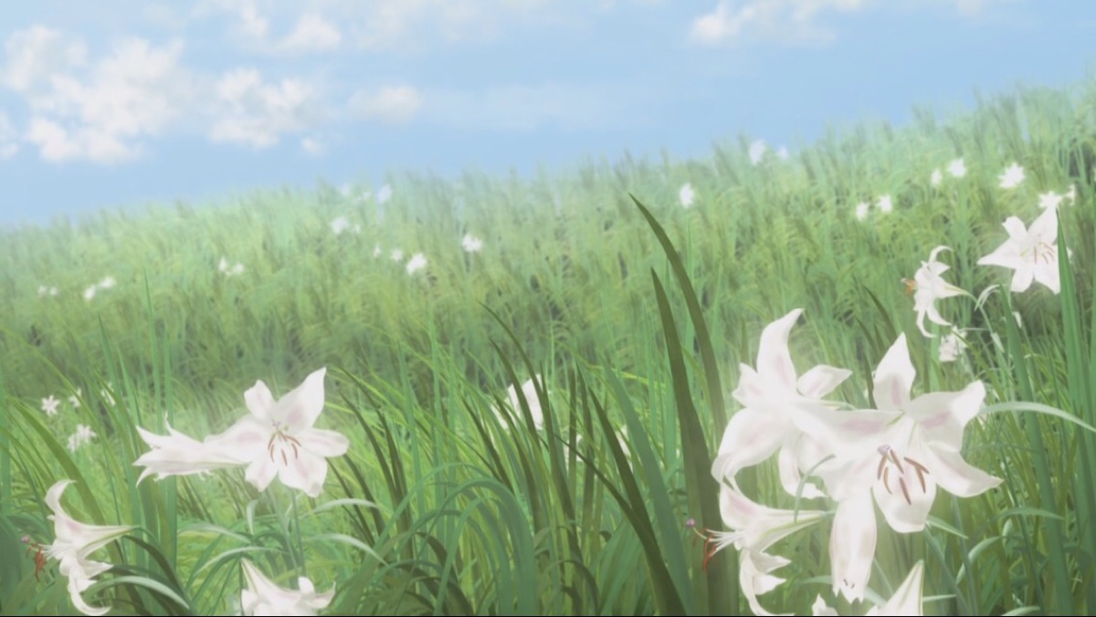 hybrid child - 堆糖,美图壁纸兴趣社区