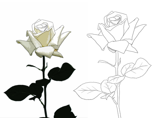橡皮章 素材 玫瑰 线稿 白 刻印