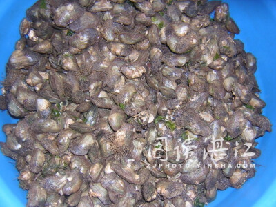 名称:石夹螺(广东台山特有的海产)螺里面住著有一只非常细微的寄生蟹
