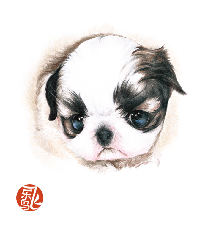 [萌翻]不管是刚刚接触绘画的新朋友,还是熟练掌握的