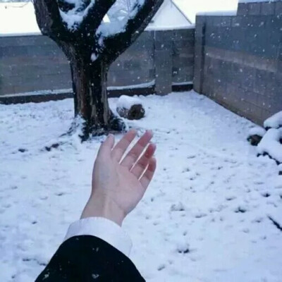 大雪里牵住我的手,在雪地留下往事