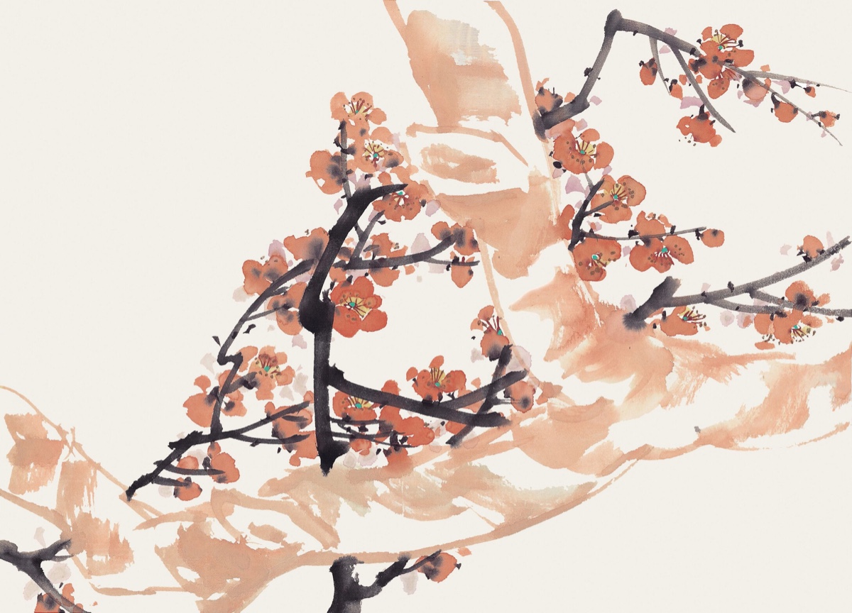 国画梅花图
