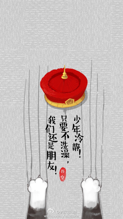 吾皇喵壁纸