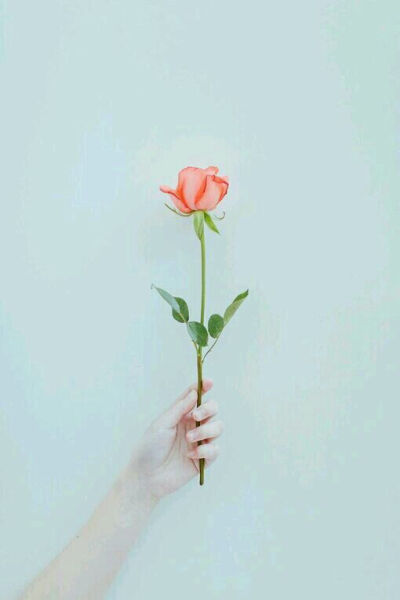 自然 唯美 头像 手机壁纸 聊天背景 0 63 佳佳_2020  发布到  屏保