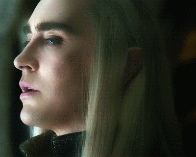 精灵王 瑟兰迪尔 莱戈拉斯 thranduil legolas