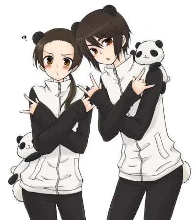 熊猫组aph图片