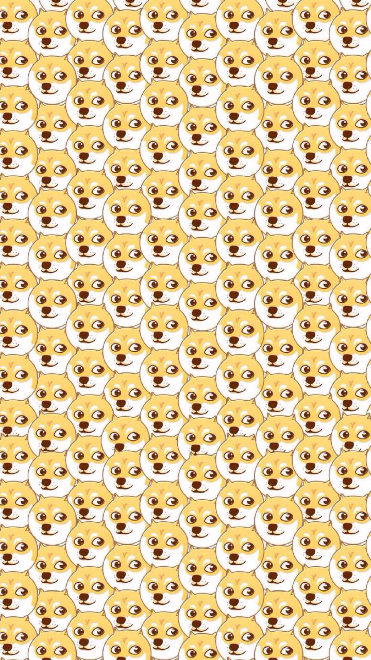 让我闪瞎你们的眼