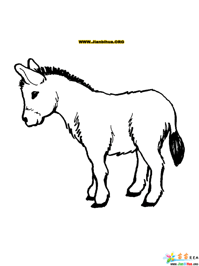 驴的耳朵简笔画图片