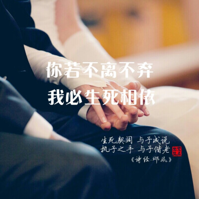 你若不离不弃,我必生死相依