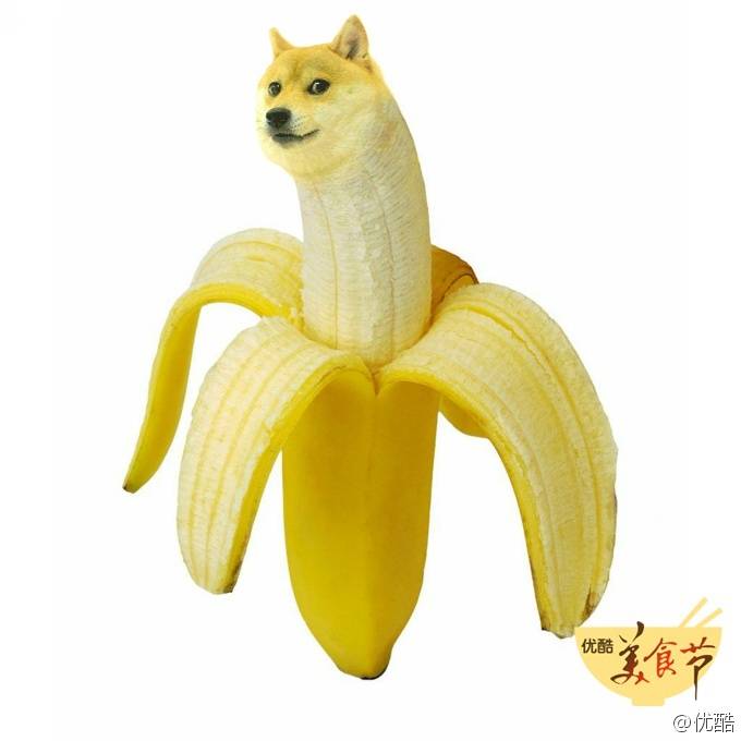 doge - 堆糖,美图壁纸兴趣社区