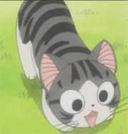 起司猫q