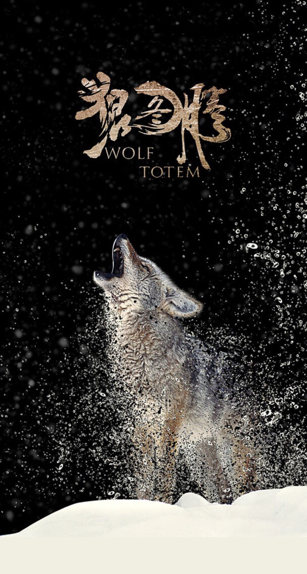 狼图腾 - 堆糖,美图壁纸兴趣社区