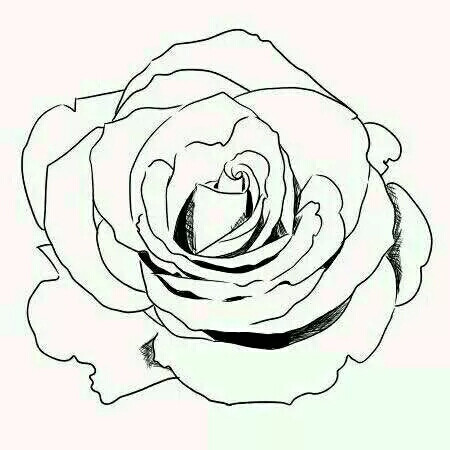 橡皮章素材玫瑰图片来自网络