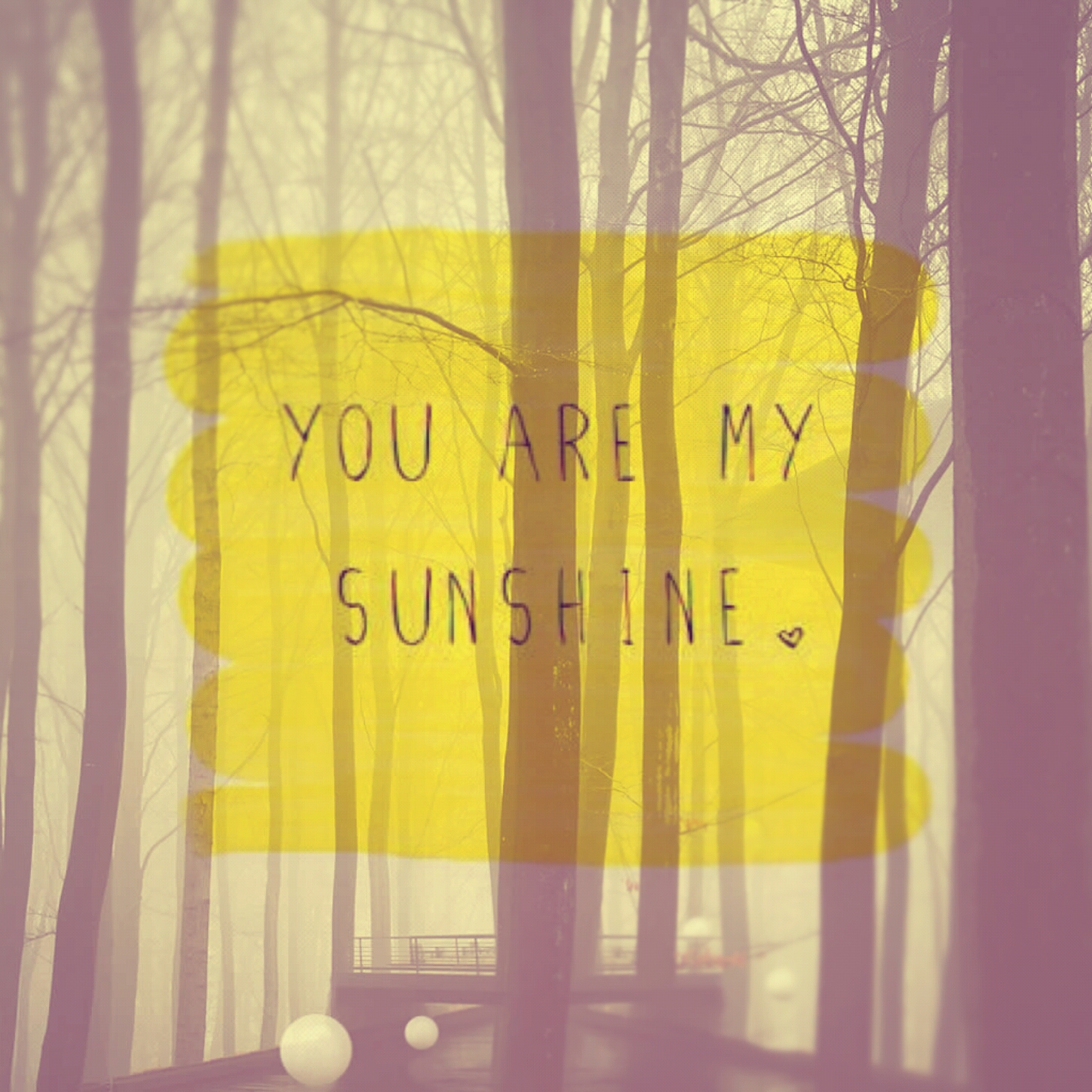 you are.my sunshine