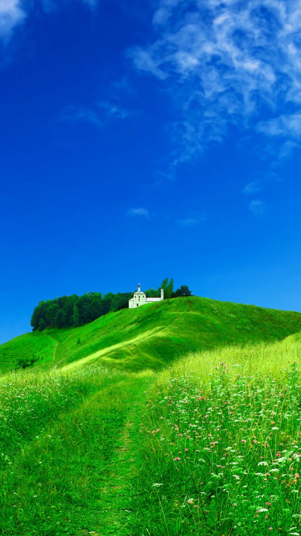 风景