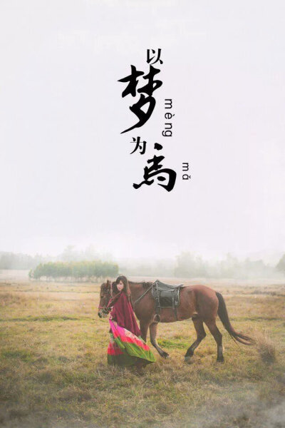 以梦为马!