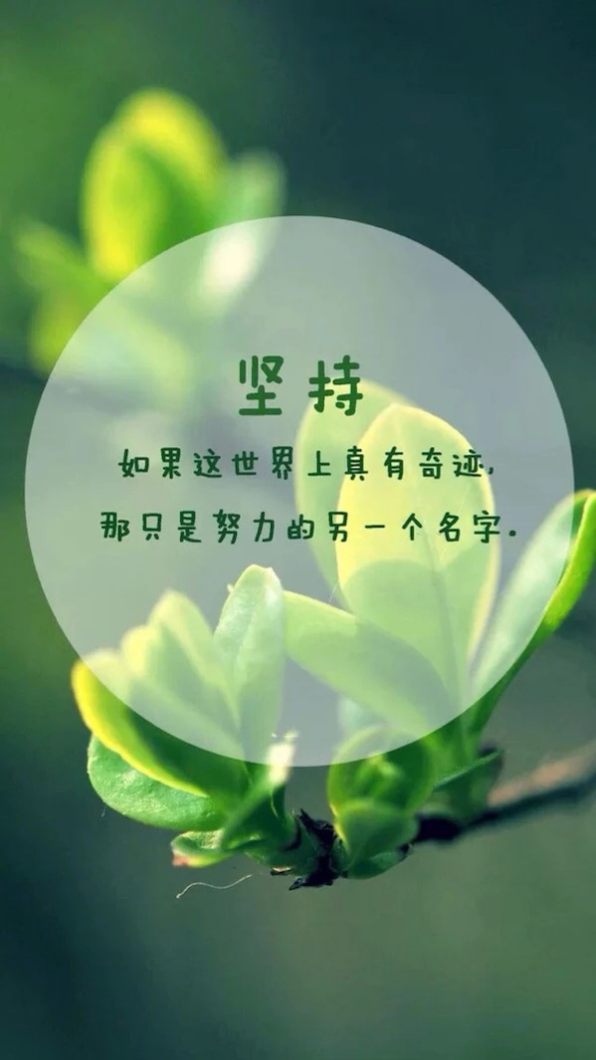 爱生活,爱自己,充满正能量 文字图片