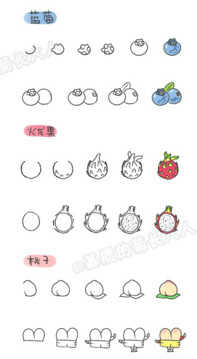 手账,简笔画,蓝莓,火龙果,桃子