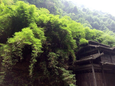 山水雨稞图片