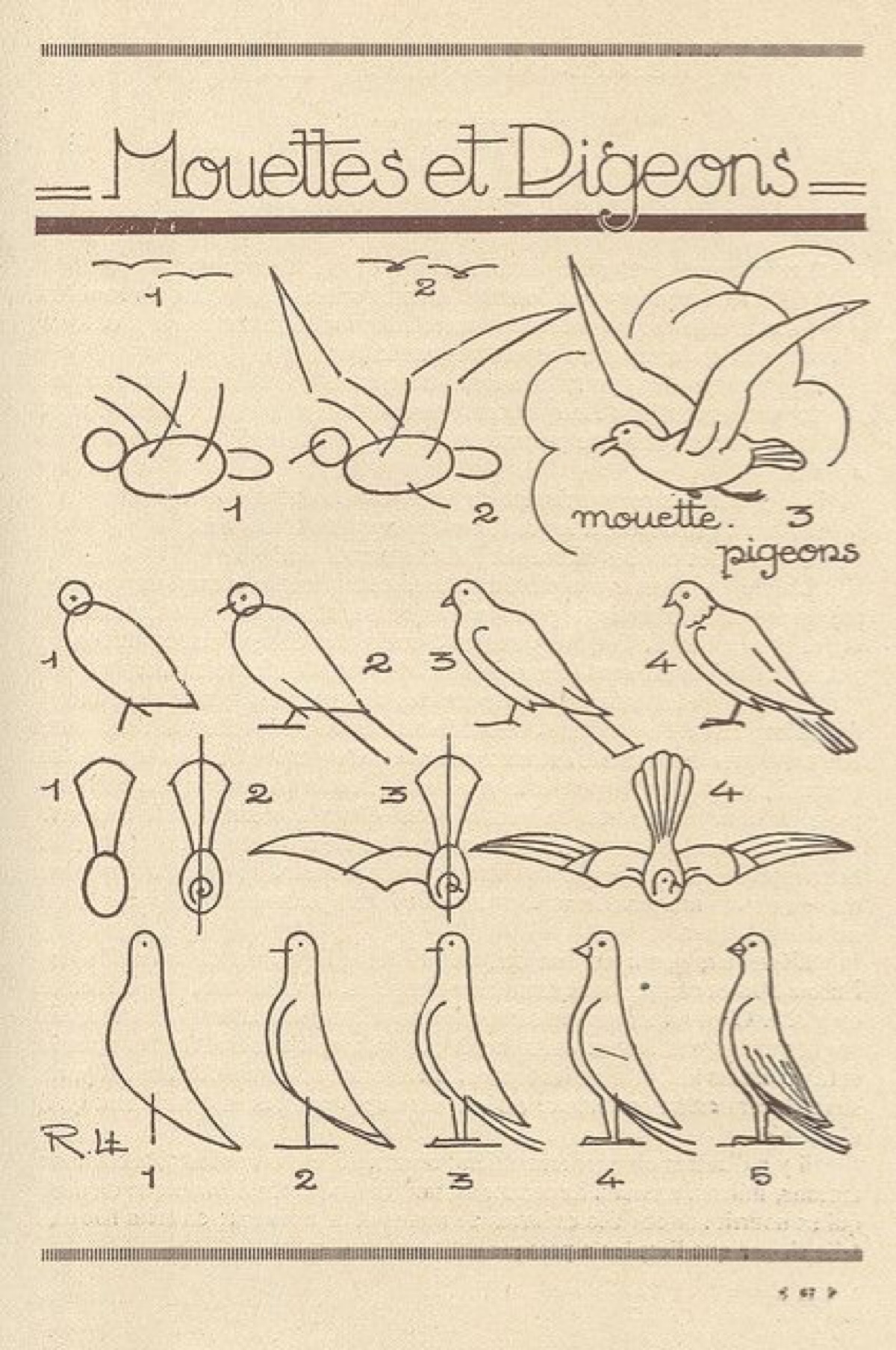 鸽子的简单画法图片