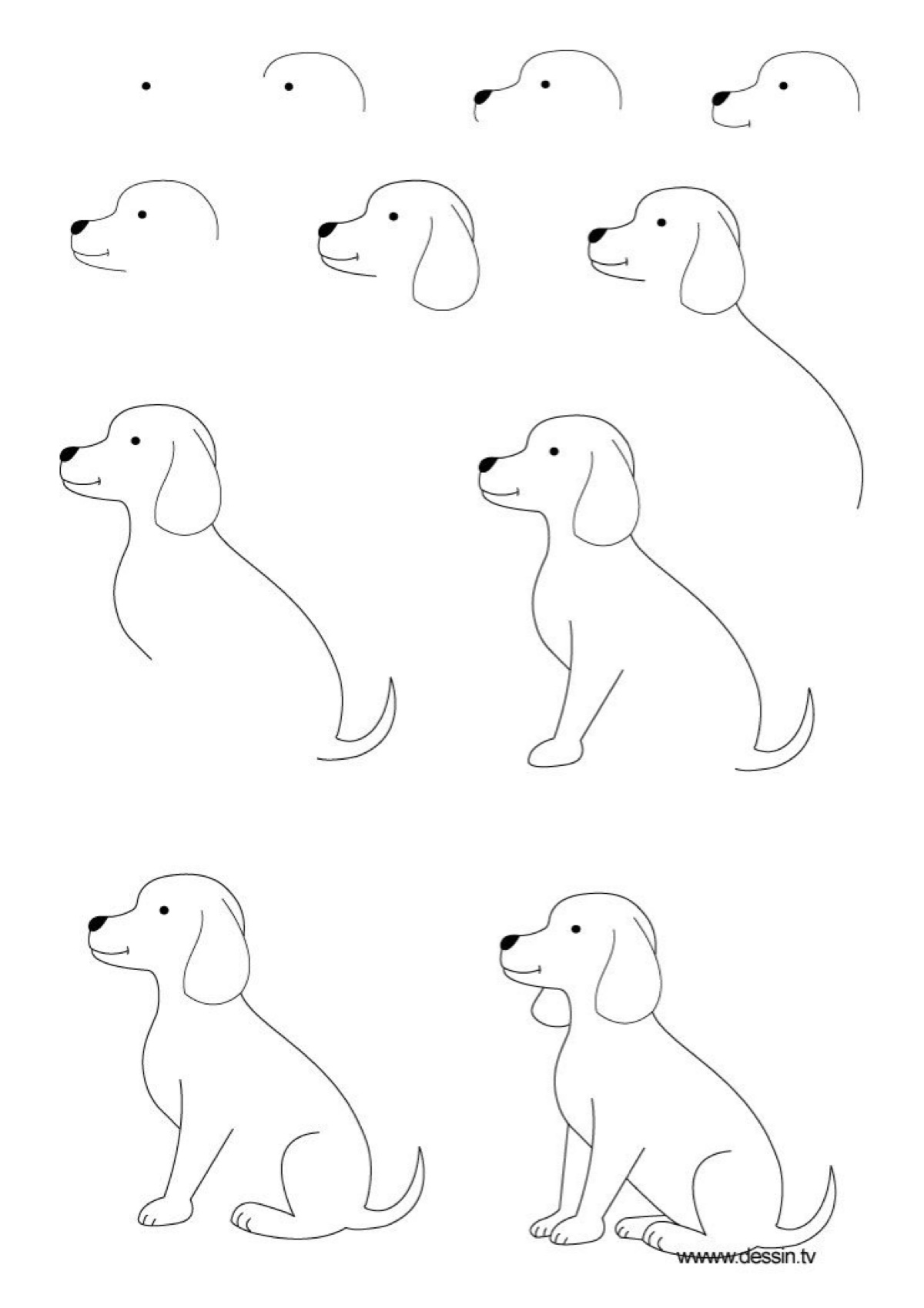 狗的简易画法图片