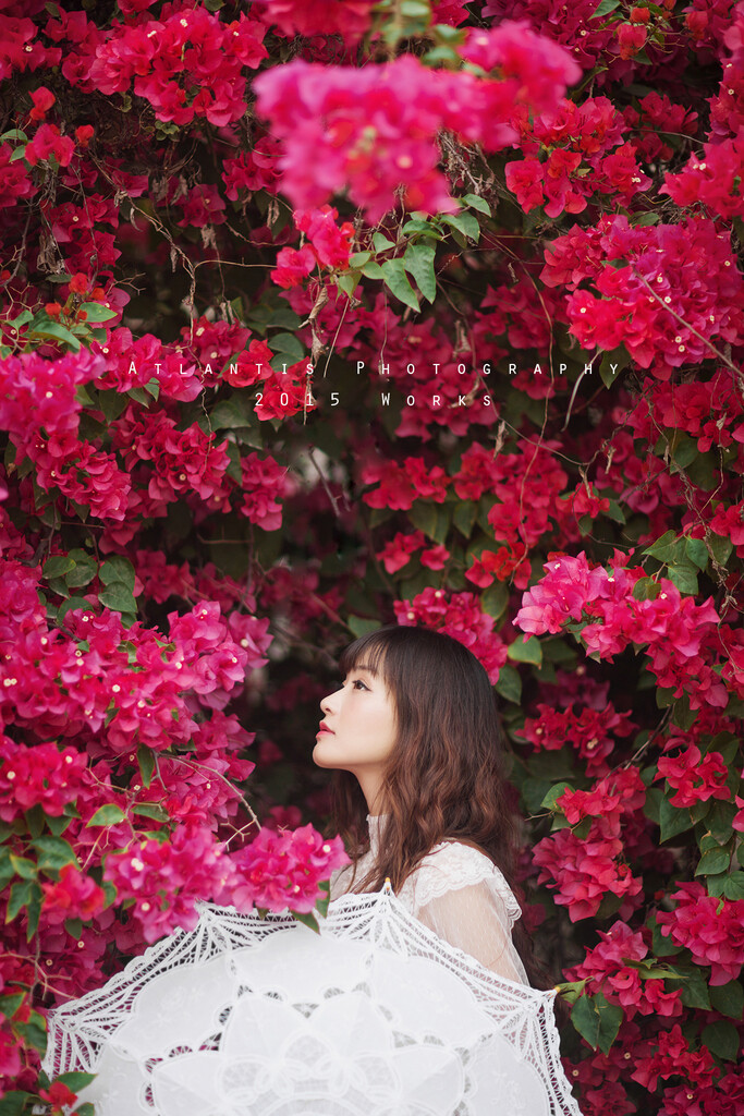 花与爱丽丝摄影人像