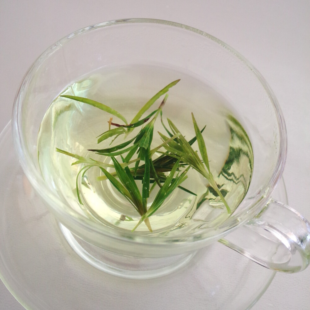 一个人,一杯茶.