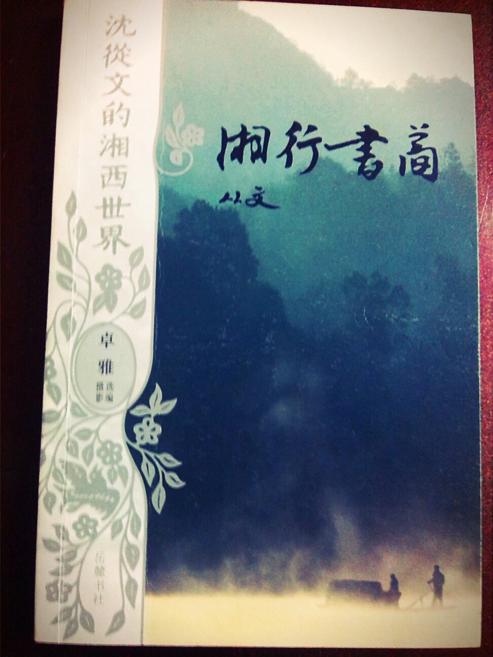 推书#湘行书简 我看的唯一一本沈从文的书 内容是他与他爱人张兆和的