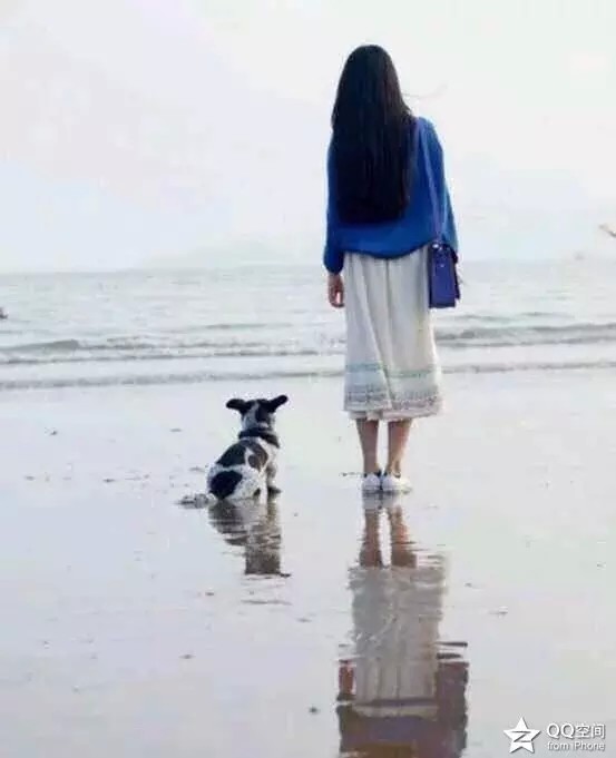 长发背影小狗海滩