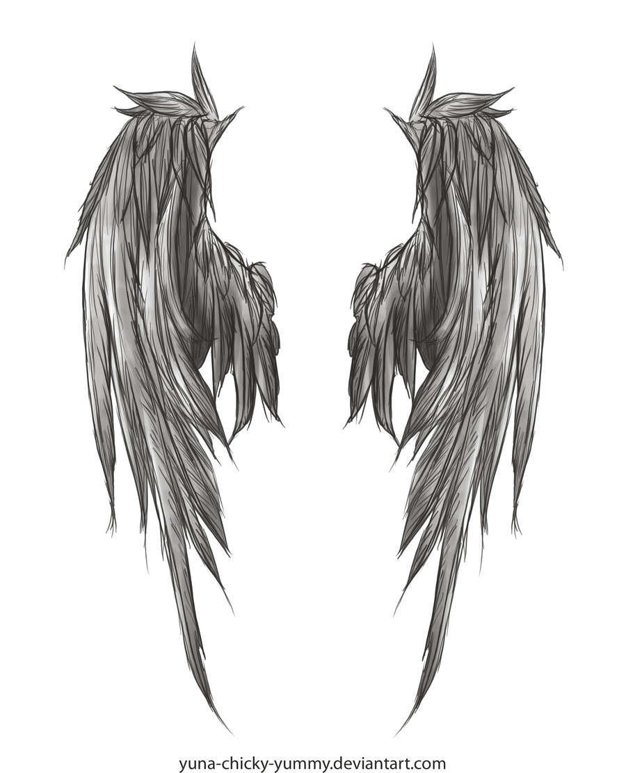 heaven black wings flight angel
