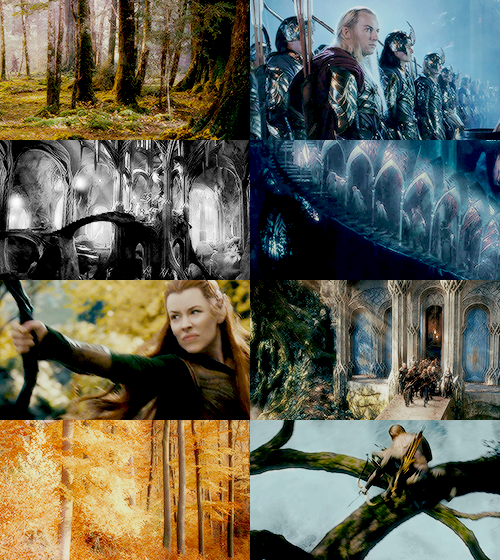 peoplesofarda03silvanelves西尔凡精灵