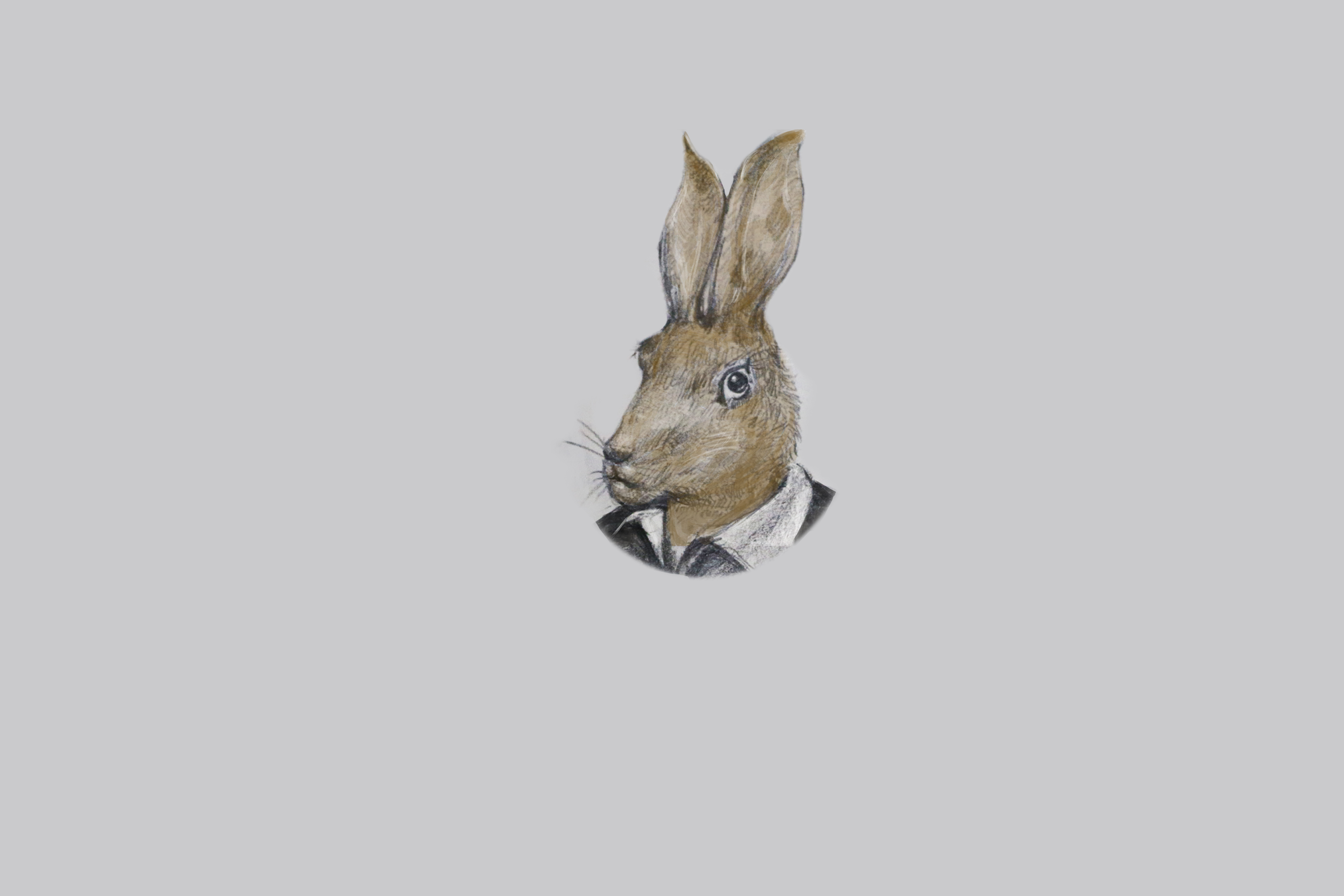 兔子霸气壁纸图片