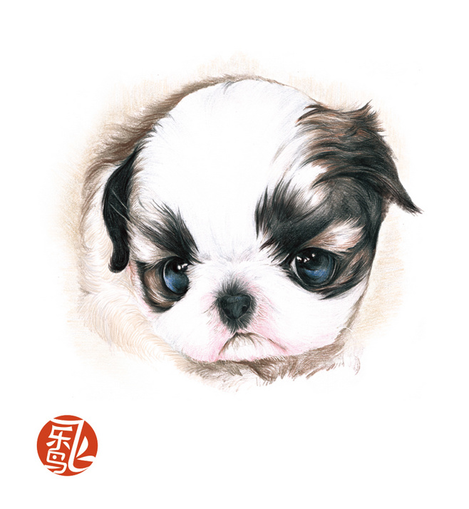 《狗狗绘—狗狗们集体来show,或萌,或二,或活泼,或温顺,正义的