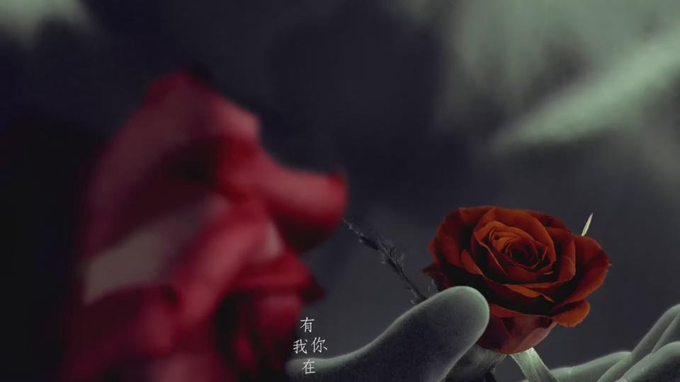 林俊杰手心的蔷薇mv截图