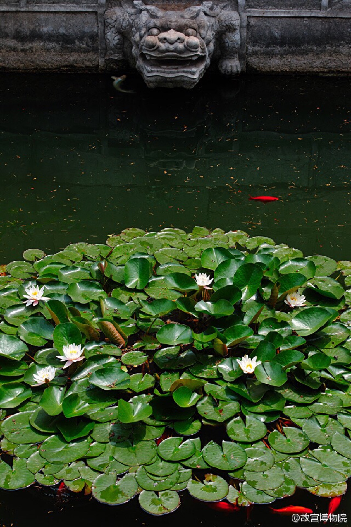 照片取自@故宫博物院