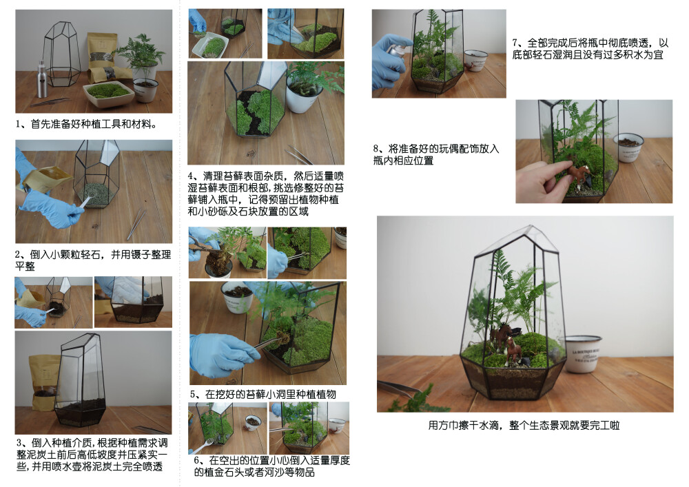 完整的苔藓微景观制作教程,详情可在淘宝店搜索:屿路生活