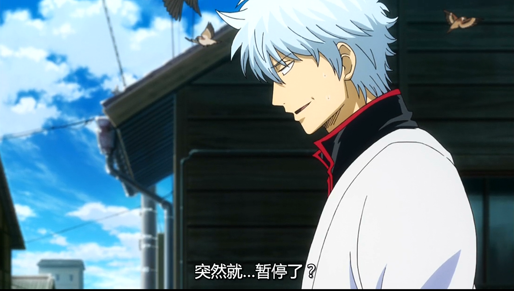 gintama ぎんたま 作者 空知英秋 坂田银时 银他妈 二次元 动漫 壁纸