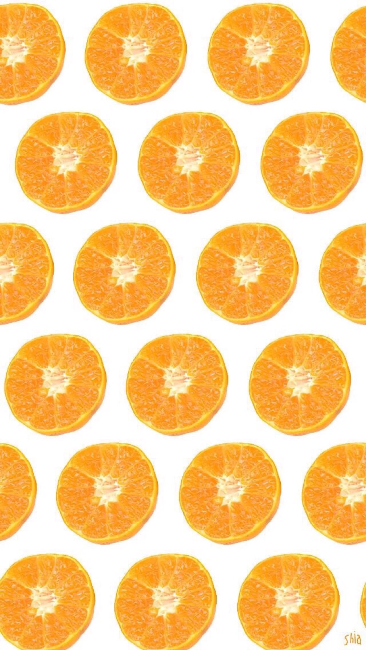橘子平铺iphone手机壁纸