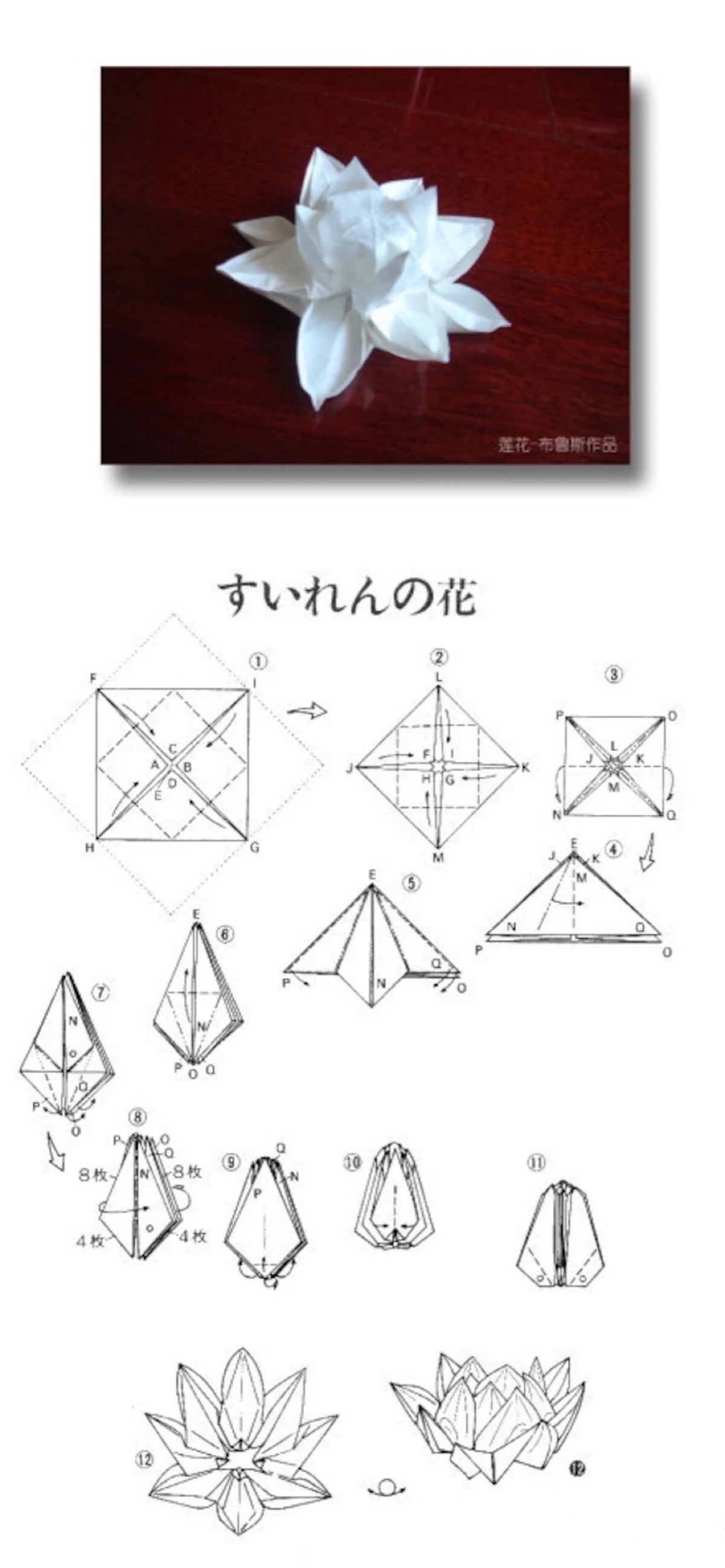 荷花立体手工制作步骤图片