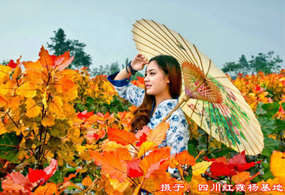 一位结着愁怨的撑着油纸伞的姑娘